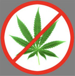 Cannabis prohibition vector on plain white background